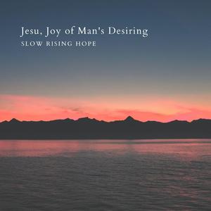 蜜桃视频在线观看www
