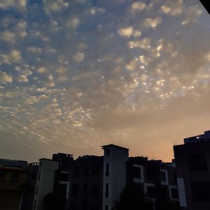 蜜桃视频在线观看www
