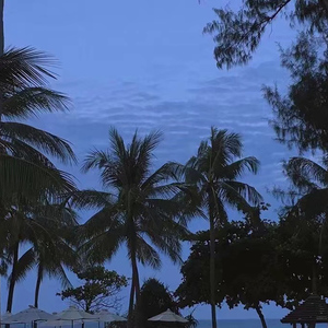 蜜桃视频在线观看www
